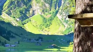 Swiss Beautifuls 3