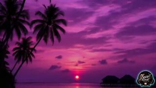 Cinek_-_Floating__Lyrics