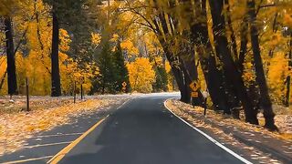 Last day of September 🍂 🍃
