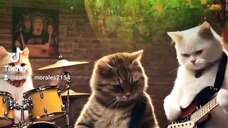 Gatos rockeros