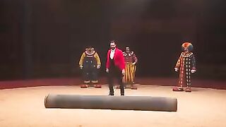 new magical video 2026