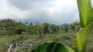 Kebun 3