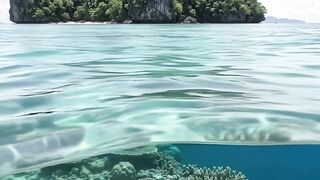 Tropical Island Split-Level Ocean View | Crystal Clear Blue Water and Coral Reef