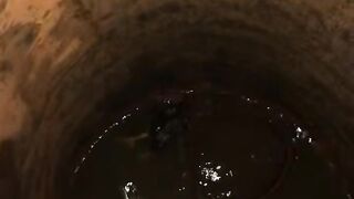 chicken in the wall