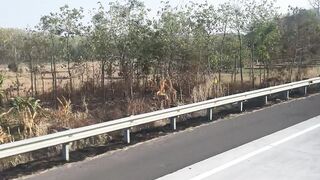 A beautiful view 6