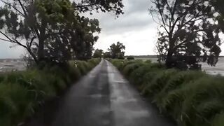 nature 48