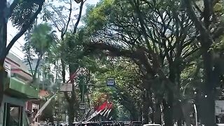Jalan Bandung, Kota Malang, Jawa Timur