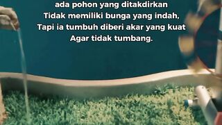 kata kata bijak motivasi kehidupan berjuang