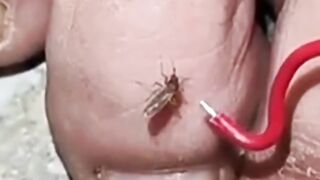 link video viral bilqis luvena danendra