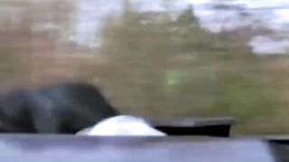 He just needed to escape and stay alive