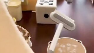 Cat Gives the Best Massage Ever! 💆 3