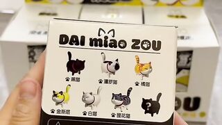 Trying Not To Laugh at This Cat! 12