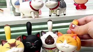 This Cat Thinks He is a Dog! 12