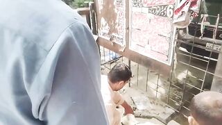 Aqeeqa Goat