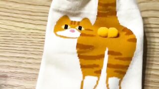 Cat Enjoying a Gentle Brushing! ASMR! 14