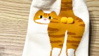 Cat Hissing at its Own Reflection! 11