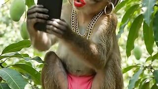 Glam Monkey Takes a Selfie!