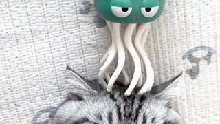 The Most Talkative Cat Ever! 🗣️ 14