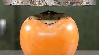 Persimmon vs hydraulic press