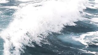 Beneath the waves lies a world more alien than any distant planet