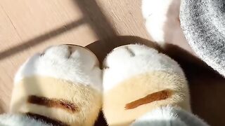 Cat Talking to Birds at the Window! 12
