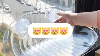 Cat Discovering Ice for the First Time! 14