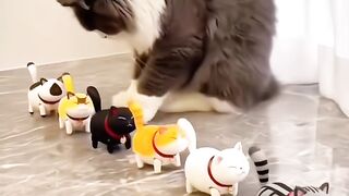 Cat Hiding in the Fridge! Sneaky! 12