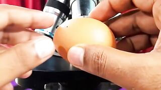 What's Hiding Inside an Egg?! 😱🔬