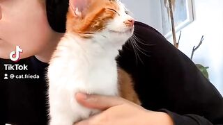 Cat Brings a Live Frog into the House! 12