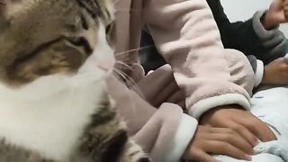 Cat Refuses to Take a Bath! 13