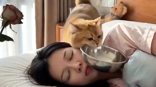 Cat Chattering at a Squirrel! 14
