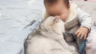 Cat Begging for Ice Cream! 🍦 13