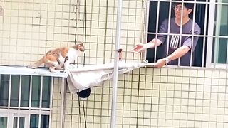 Cat Bringing a Toy to Bed! 13
