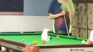 Cat Purring Like a V8 Engine! 13
