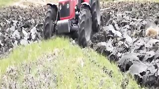 This video like and subscribe