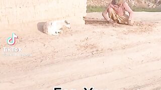 TikTok video