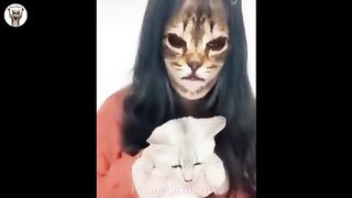 Funny Cats Compilation (Funny And Cute Cats Doing Funny Things) #5 ????