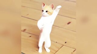 Cat dance