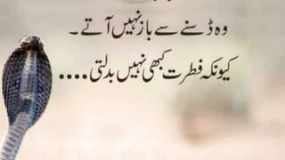 Best urdu quotes 2023 status for whatsapp