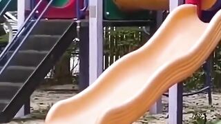 Cat having fun on the slide gives us a life lesson to enjoy every moment