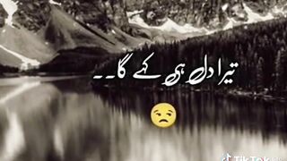 Shairi
