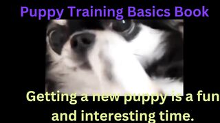 The Complete Puppy Training Handbook