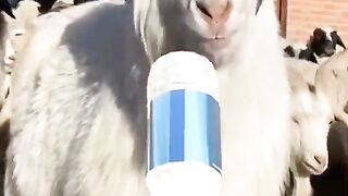 New Funny latest video 2023