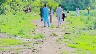 Cricket ground