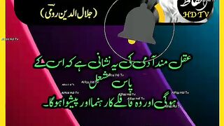 #UrduQuotes ✍️???????? Golden Words #short #youtubeshorts #shorts#febspotshortvideo.