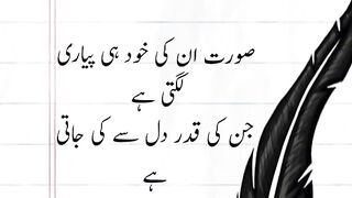 Sher video