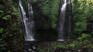Beautiful Nature - how nature works