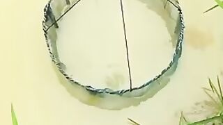Catch Fish In Basket