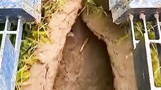 The modern agriculture machine technology