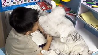 Cat Trying to Drink from a Straw! 28